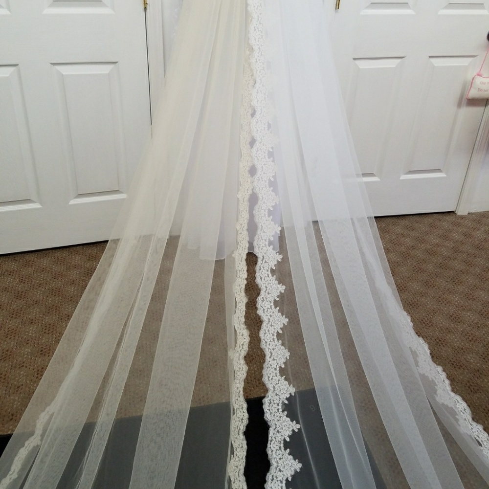 VEIL - Picture 2 of 4